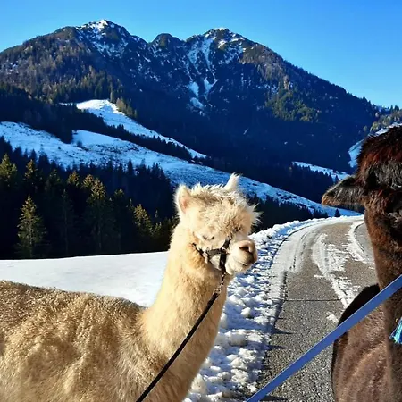 Traditionsgasthof Sollererwirt