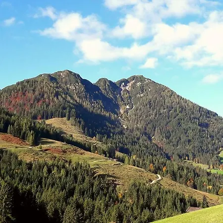 Traditionsgasthof Sollererwirt Inn