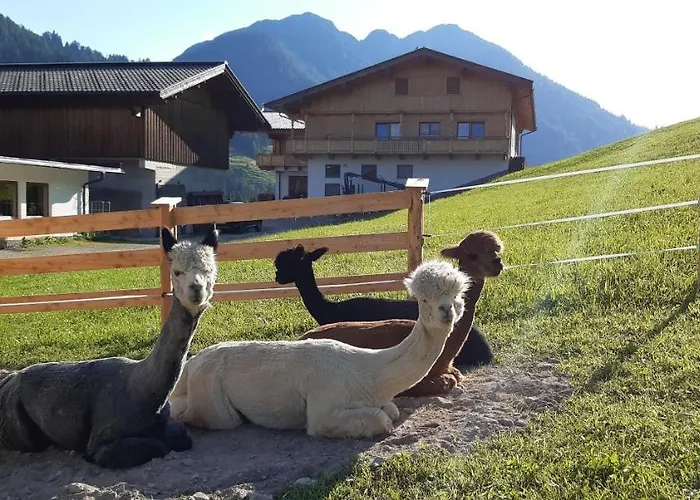 Traditionsgasthof Sollererwirt * Thierbach