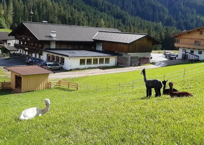 Penzion Traditionsgasthof Sollererwirt