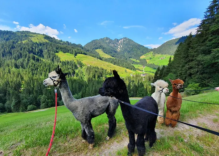 Traditionsgasthof Sollererwirt Penzion Thierbach