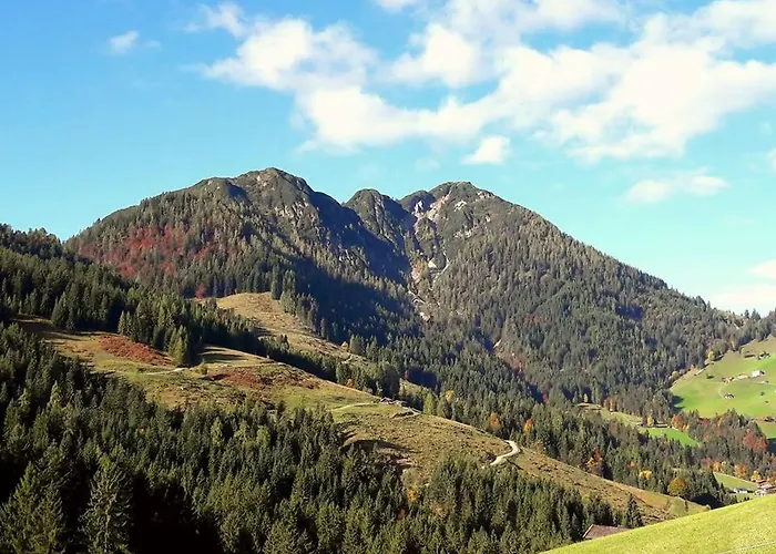 Traditionsgasthof Sollererwirt Penzion