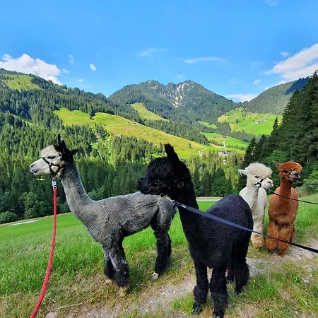 Traditionsgasthof Sollererwirt 宾馆 Thierbach