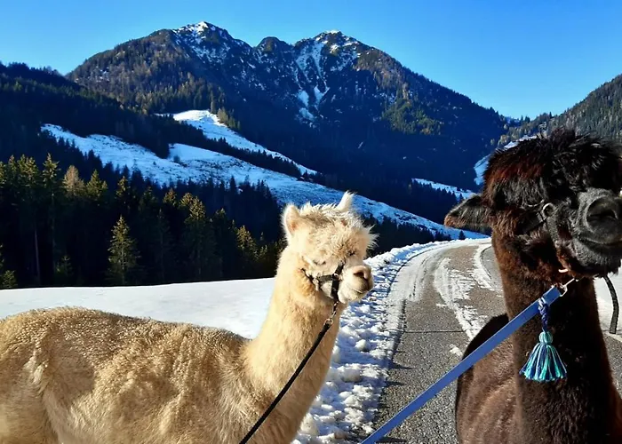 Traditionsgasthof Sollererwirt
