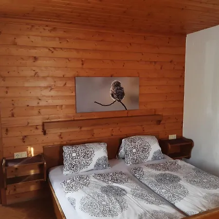 Мини-отель Traditionsgasthof Sollererwirt Thierbach